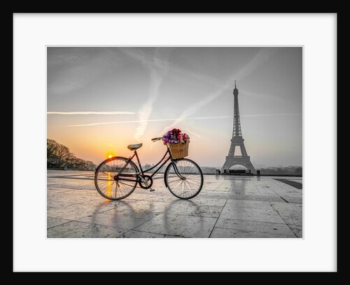 Bicycle and Eiffel tower by Assaf Frank